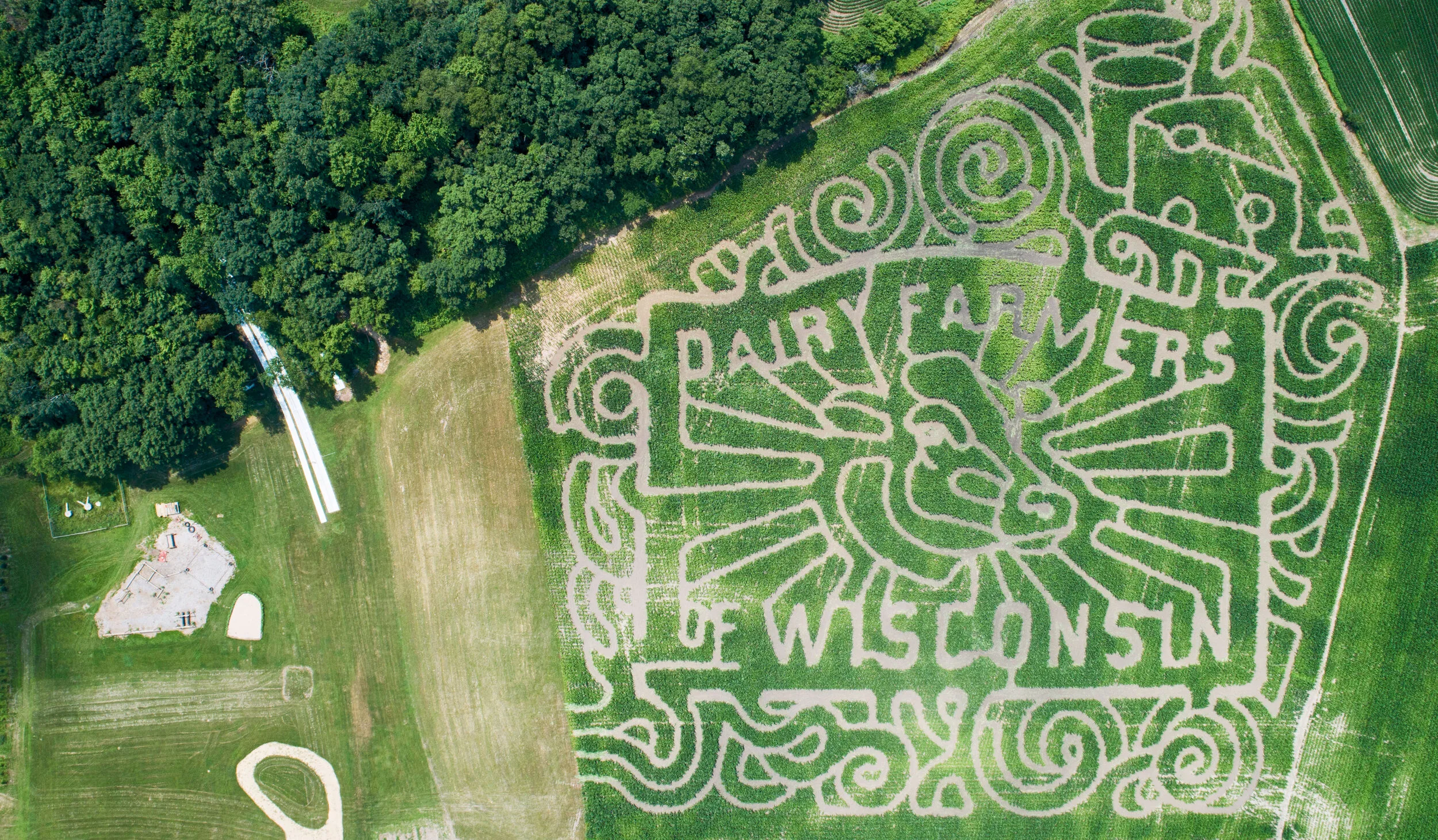 Dairy Farmers
of Wisconsin — project work by Lauren French